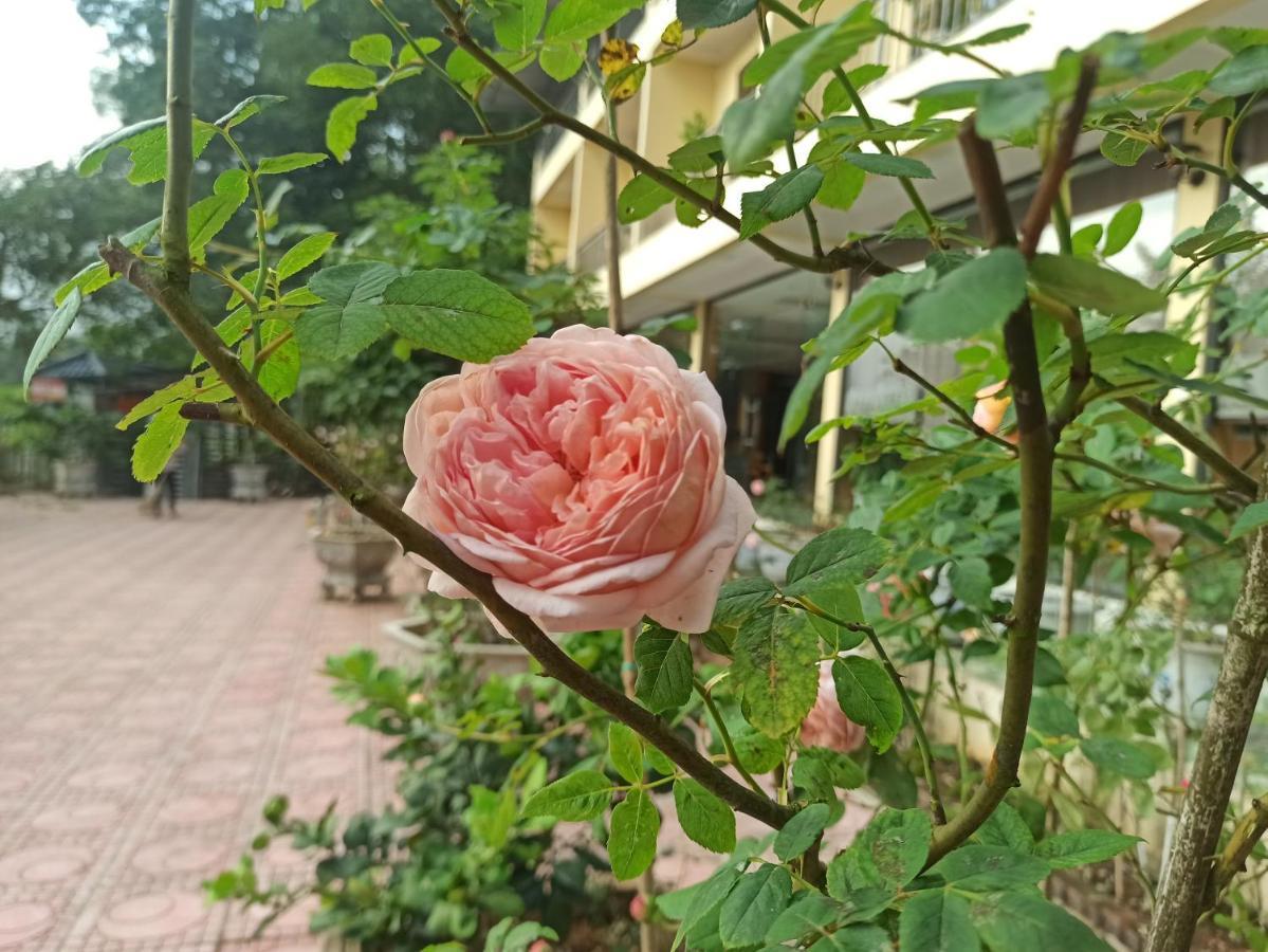 Aku House Villa Ao Vua Ba Vi Luaran gambar